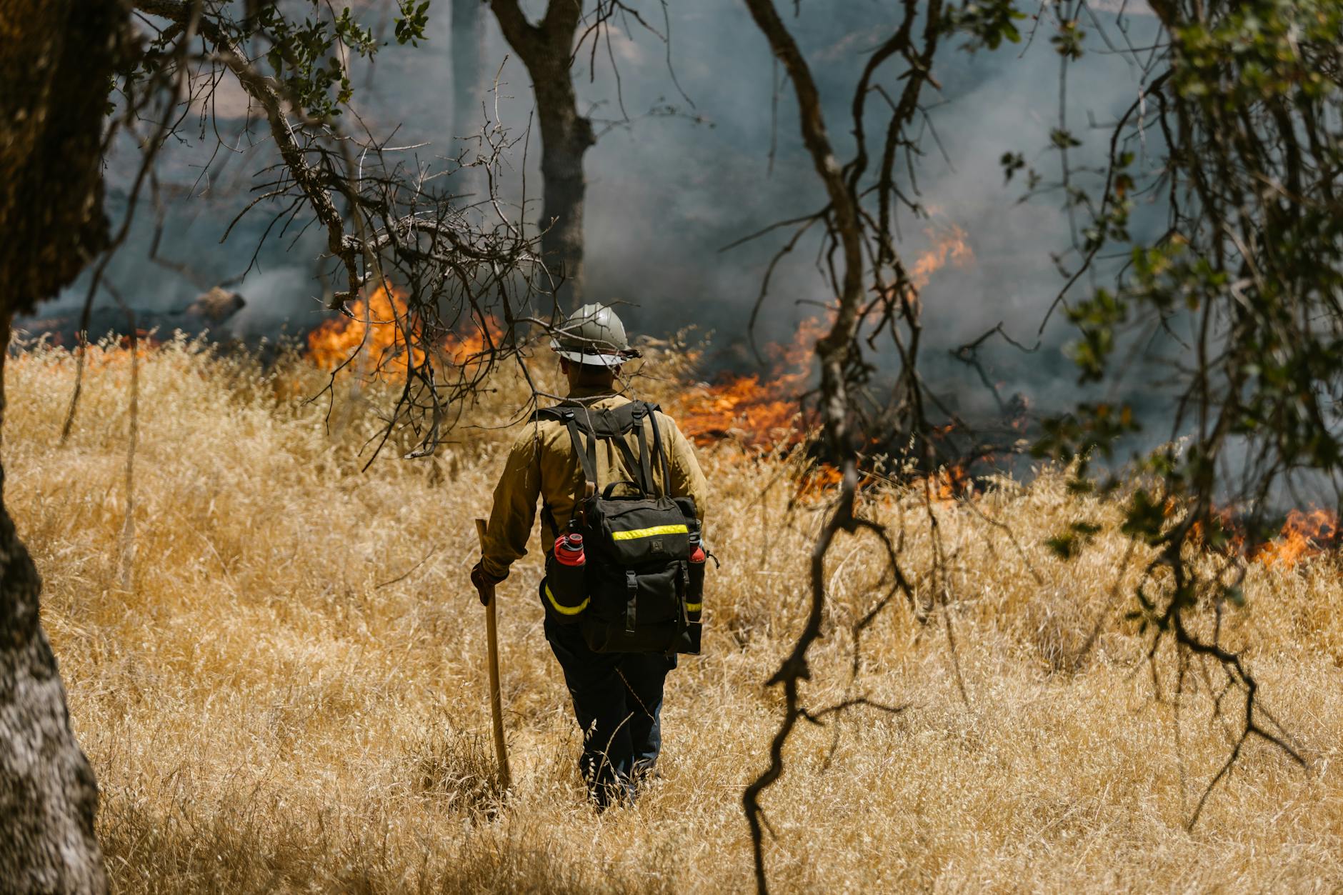firefighter walking towards a forest fire in california